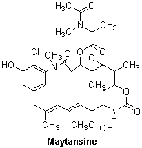 Maytansine