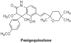 Penigequinolone
