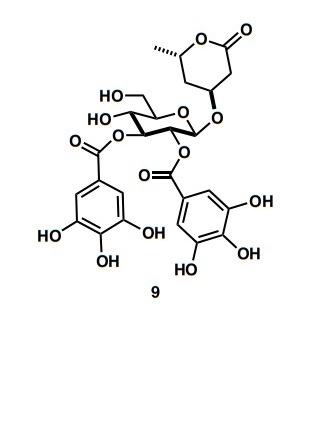 Siliquapyranone: A Tannic Acid Tetrahydropyran-2-one Isolated from the Leaves of Carob (Ceratonia siliqua) by Pressurised Hot Water Extraction