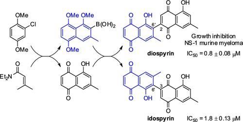 Total Synthesis of the Antitumor–Antitubercular 2,6′-Bijuglone Natural Product Diospyrin and Its 3,6′-Isomer