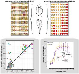 TriTOX: A novel Trichomonas vaginalis assay platform for high-throughput screening of compound libraries