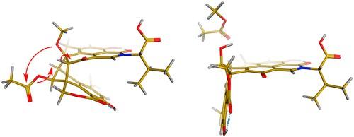 Talauxins: Hybrid Phenalenone Dimers from Talaromyces stipitatus