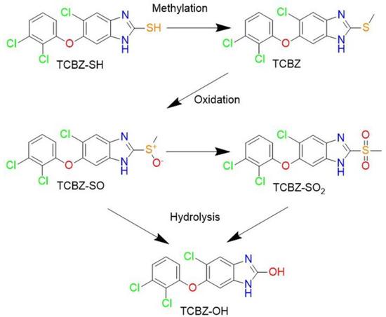 Repurposing of the Fasciolicide Triclabendazole to Treat Infections Caused by Staphylococcus spp. and Vancomycin-Resistant Enterococci