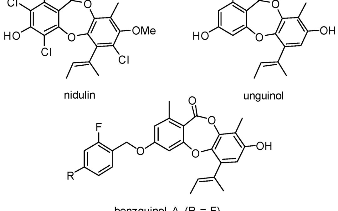 Evaluation of Benzguinols as Next-Generation Antibiotics for the Treatment of Multidrug-Resistant Bacterial Infections