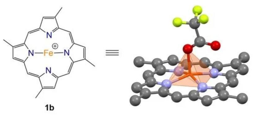 Type-I Hemins and Free Porphyrins from a Western Australian Sponge Isabela sp.